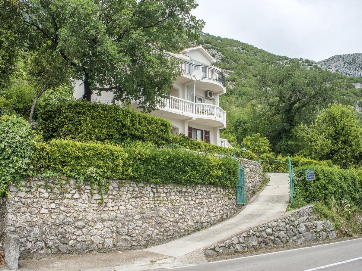 Apartments Villa Radonic ドンジ・モリンジ エクステリア 写真